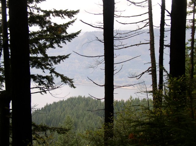 10.28.05 Devil's Rest 094 